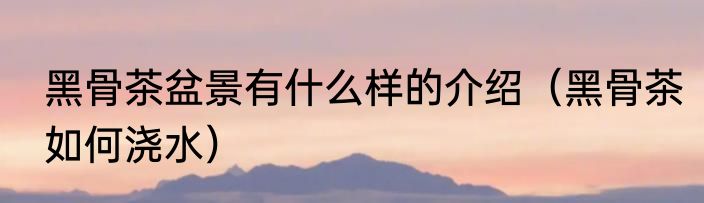 黑骨茶盆景有什么样的介绍（黑骨茶如何浇水）