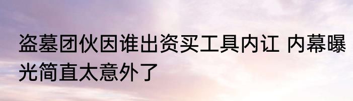 盗墓团伙因谁出资买工具内讧 内幕曝光简直太意外了
