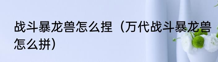 战斗暴龙兽怎么捏（万代战斗暴龙兽怎么拼）