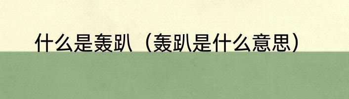 什么是轰趴（轰趴是什么意思）