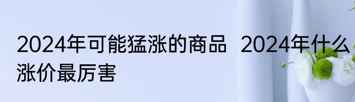 2024年可能猛涨的商品  2024年什么涨价最厉害