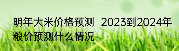 明年大米价格预测  2023到2024年粮价预测什么情况