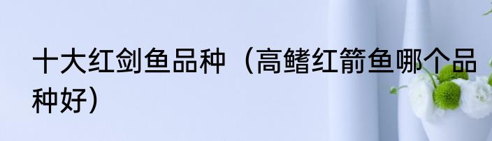 十大红剑鱼品种（高鳍红箭鱼哪个品种好）