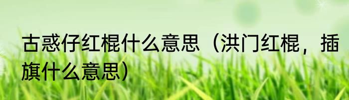 古惑仔红棍什么意思（洪门红棍，插旗什么意思）