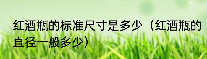 红酒瓶的标准尺寸是多少（红酒瓶的直径一般多少）