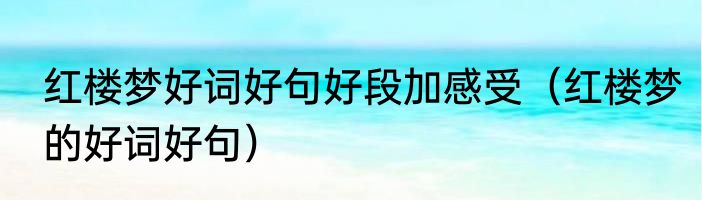 红楼梦好词好句好段加感受（红楼梦的好词好句）