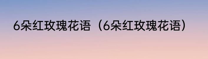 6朵红玫瑰花语（6朵红玫瑰花语）