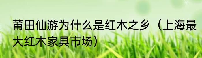 莆田仙游为什么是红木之乡（上海最大红木家具市场）
