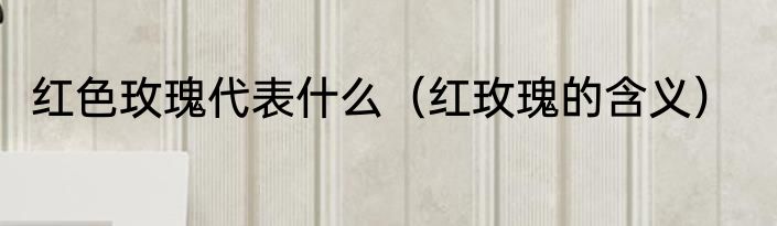 红色玫瑰代表什么（红玫瑰的含义）