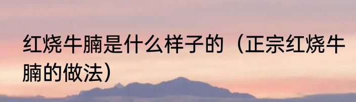 红烧牛腩是什么样子的（正宗红烧牛腩的做法）