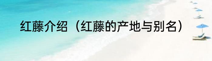 红藤介绍（红藤的产地与别名）