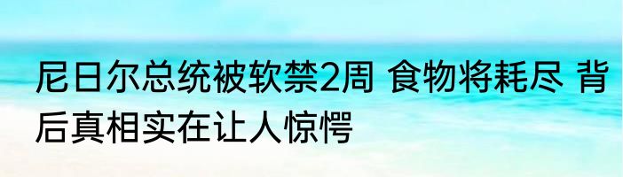 尼日尔总统被软禁2周 食物将耗尽 背后真相实在让人惊愕