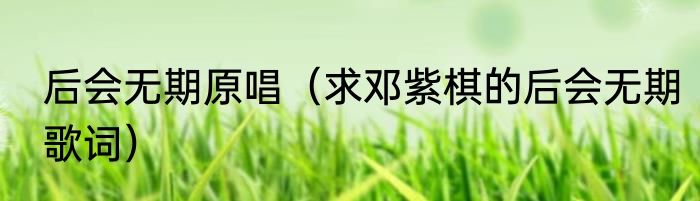 后会无期原唱（求邓紫棋的后会无期歌词）