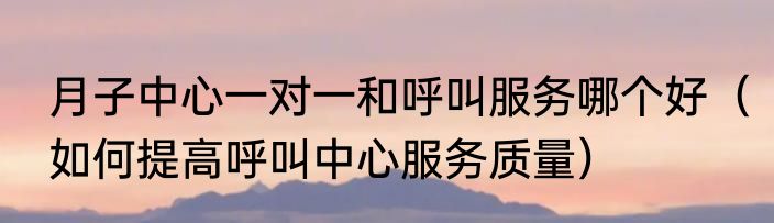 月子中心一对一和呼叫服务哪个好（如何提高呼叫中心服务质量）