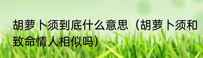 胡萝卜须到底什么意思（胡萝卜须和致命情人相似吗）