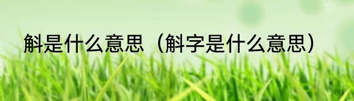 斛是什么意思（斛字是什么意思）