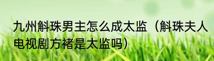 九州斛珠男主怎么成太监（斛珠夫人电视剧方褚是太监吗）