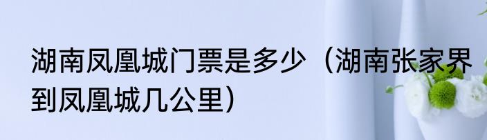 湖南凤凰城门票是多少（湖南张家界到凤凰城几公里）