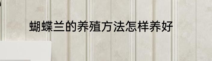 蝴蝶兰的养殖方法怎样养好
