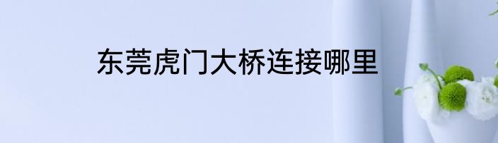 东莞虎门大桥连接哪里