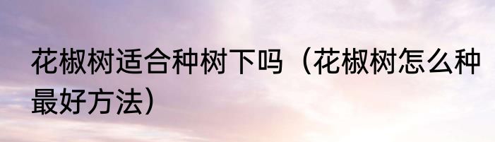 花椒树适合种树下吗（花椒树怎么种最好方法）