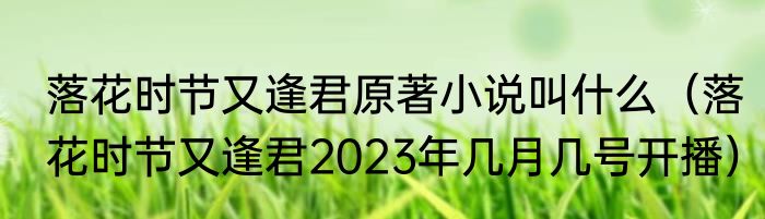 落花时节又逢君原著小说叫什么（落花时节又逢君2023年几月几号开播）