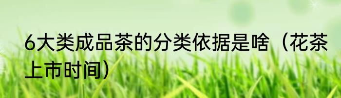 6大类成品茶的分类依据是啥（花茶上市时间）