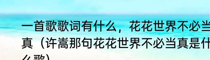 一首歌歌词有什么，花花世界不必当真（许嵩那句花花世界不必当真是什么歌）