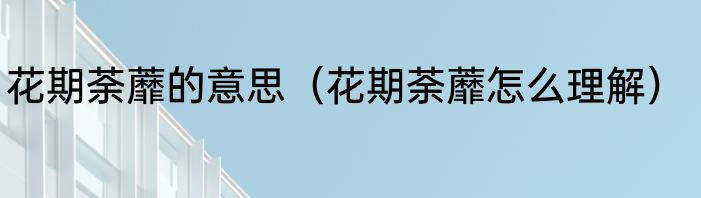 花期荼蘼的意思（花期荼蘼怎么理解）