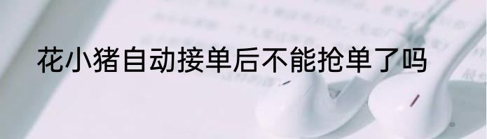 花小猪自动接单后不能抢单了吗