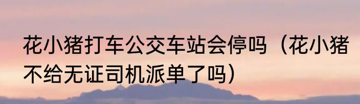 花小猪打车公交车站会停吗（花小猪不给无证司机派单了吗）