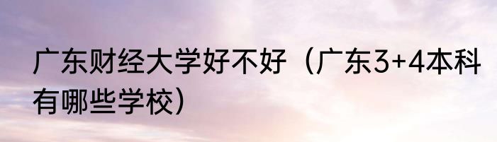 广东财经大学好不好（广东3+4本科有哪些学校）