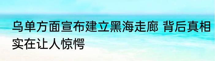 乌单方面宣布建立黑海走廊 背后真相实在让人惊愕