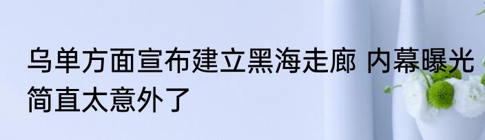 乌单方面宣布建立黑海走廊 内幕曝光简直太意外了