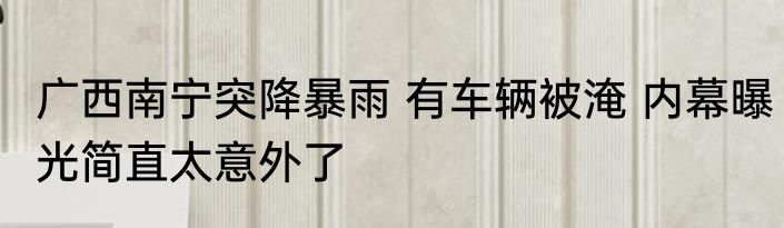 广西南宁突降暴雨 有车辆被淹 内幕曝光简直太意外了
