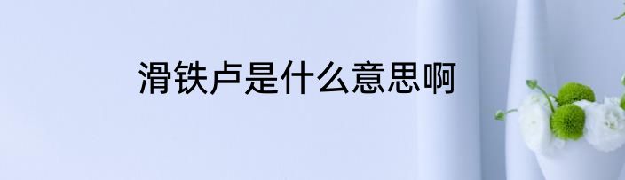 滑铁卢是什么意思啊