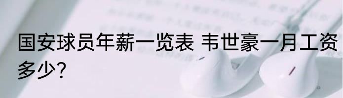 国安球员年薪一览表 韦世豪一月工资多少？