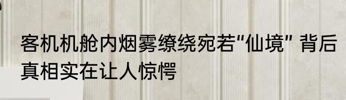 客机机舱内烟雾缭绕宛若“仙境” 背后真相实在让人惊愕