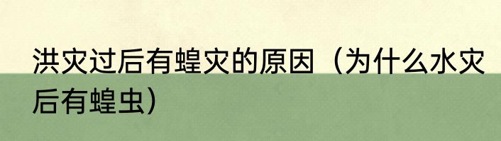 洪灾过后有蝗灾的原因（为什么水灾后有蝗虫）