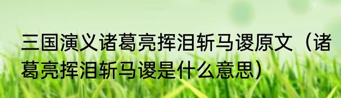 三国演义诸葛亮挥泪斩马谡原文（诸葛亮挥泪斩马谡是什么意思）