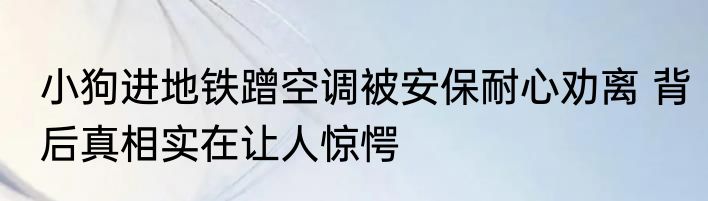 小狗进地铁蹭空调被安保耐心劝离 背后真相实在让人惊愕