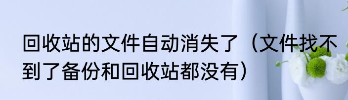回收站的文件自动消失了（文件找不到了备份和回收站都没有）