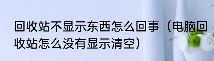 回收站不显示东西怎么回事（电脑回收站怎么没有显示清空）