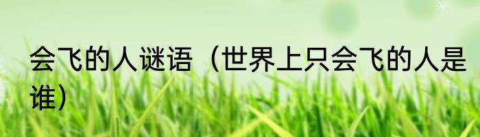 会飞的人谜语（世界上只会飞的人是谁）