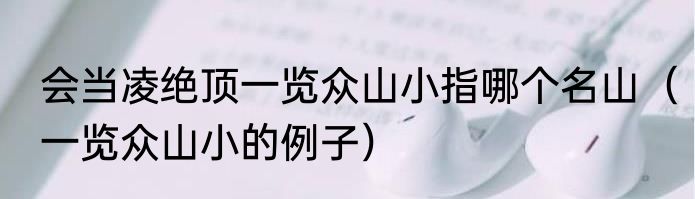 会当凌绝顶一览众山小指哪个名山（一览众山小的例子）