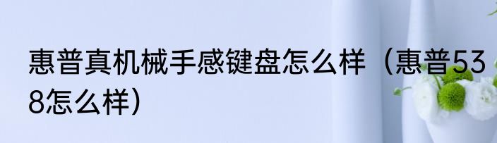 惠普真机械手感键盘怎么样（惠普538怎么样）
