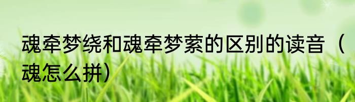 魂牵梦绕和魂牵梦萦的区别的读音（魂怎么拼）