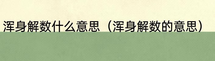 浑身解数什么意思（浑身解数的意思）