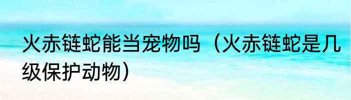 火赤链蛇能当宠物吗（火赤链蛇是几级保护动物）