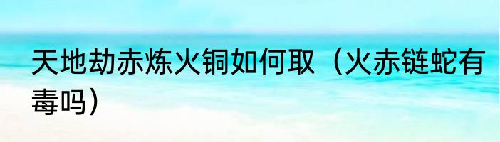天地劫赤炼火铜如何取（火赤链蛇有毒吗）